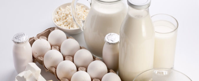 Image of milk jugs filled with milk and eggs in a carton